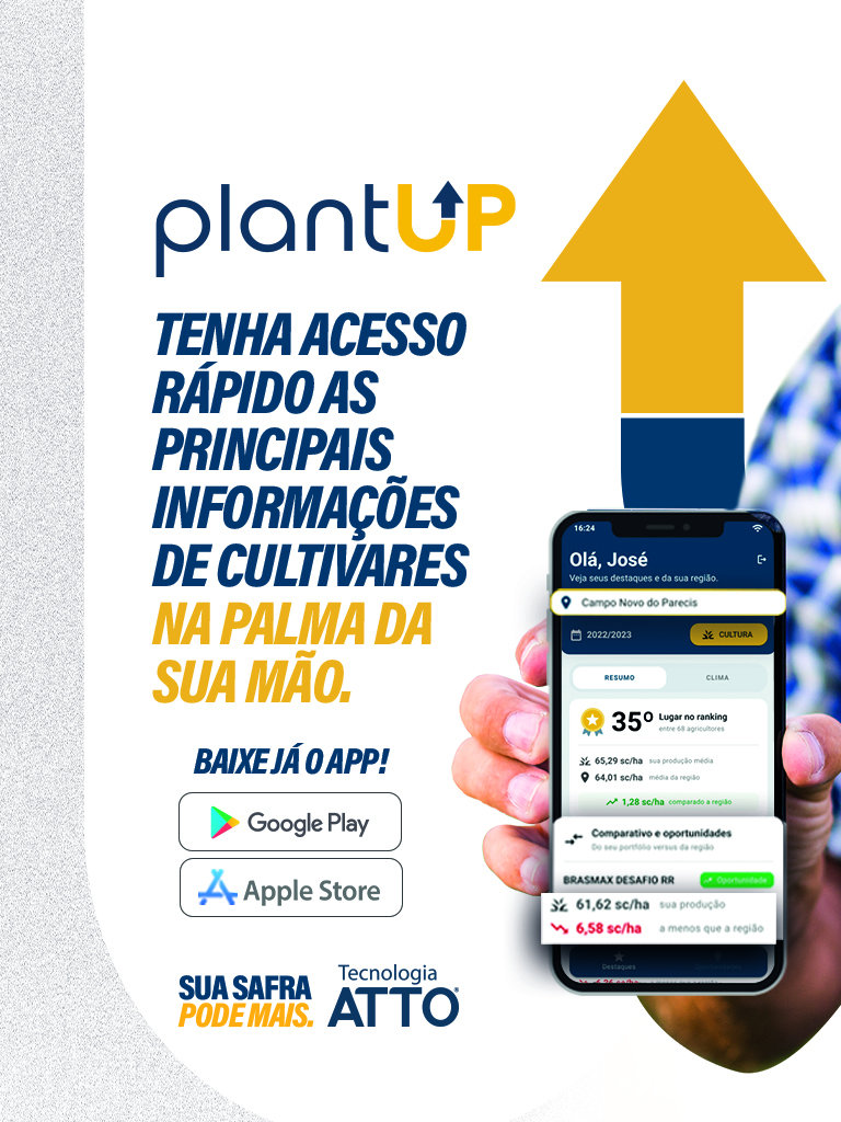 Segunda imagem do carrossel - mobile